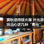 赏秋游持续火爆 外出游玩当心这几种“毒虫”(图1) 赏秋游持续火爆 外出游玩当心这几种“毒虫”(图1)