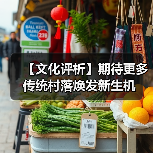 【文化评析】期待更多传统村落焕发新生机(图3) 【文化评析】期待更多传统村落焕发新生机(图3)