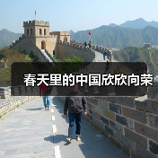 春天里的中国欣欣向荣(图1) 春天里的中国欣欣向荣(图1)