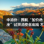 中消协:民航“加价选座”试探消费者底线 不应成为“行业惯例”(图1) 中消协:民航“加价选座”试探消费者底线 不应成为“行业惯例”(图1)