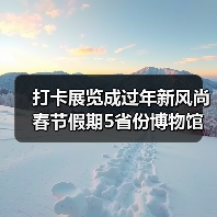 打卡展览成过年新风尚 春节假期5省份博物馆接待游客超500万人次(图1) 打卡展览成过年新风尚 春节假期5省份博物馆接待游客超500万人次(图1)