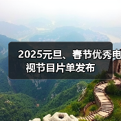 2025元旦、春节优秀电视节目片单发布（图2）