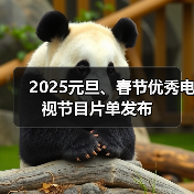 2025元旦、春节优秀电视节目片单发布（图1）