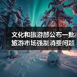 文化和旅游部公布一批旅游市场强制消费问题典型案例(图4) 文化和旅游部公布一批旅游市场强制消费问题典型案例(图4)