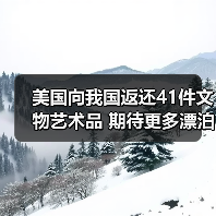 美国向我国返还41件文物艺术品 期待更多漂泊海外的文物回家(图3) 美国向我国返还41件文物艺术品 期待更多漂泊海外的文物回家(图3)