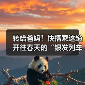 转给爸妈!快搭乘这趟开往春天的“银发列车”(图3) 转给爸妈!快搭乘这趟开往春天的“银发列车”(图3)