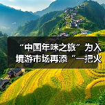 “中国年味之旅”为入境游市场再添“一把火”（图4）