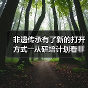 非遗传承有了新的打开方式――从研培计划看非遗传承的中国实践（图4）