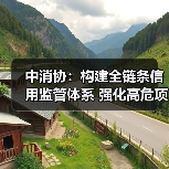 中消协：构建全链条信用监管体系 强化高危项目安全准入与动态监管