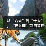 从“六大”到“十大”，“双入选”项目背后的文化密码（图4）