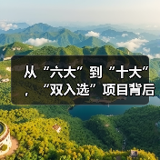 从“六大”到“十大”，“双入选”项目背后的文化密码（图2）