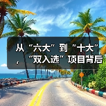 从“六大”到“十大”，“双入选”项目背后的文化密码（图1）