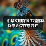 中华文明探源工程部际联席会议在京召开(图3) 中华文明探源工程部际联席会议在京召开(图3)