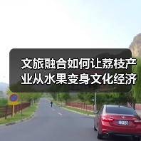 文旅融合如何让荔枝产业从水果变身文化经济新引擎?(图2) 文旅融合如何让荔枝产业从水果变身文化经济新引擎?(图2)