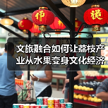 文旅融合如何让荔枝产业从水果变身文化经济新引擎?(图3) 文旅融合如何让荔枝产业从水果变身文化经济新引擎?(图3)