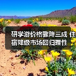 研学游价格骤降三成 住宿降级市场回归理性（图1）