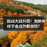 甜咸大战升级!臭鳜鱼粽子会成为新宠吗?(图1) 甜咸大战升级!臭鳜鱼粽子会成为新宠吗?(图1)