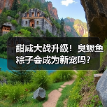 甜咸大战升级!臭鳜鱼粽子会成为新宠吗?(图4) 甜咸大战升级!臭鳜鱼粽子会成为新宠吗?(图4)