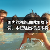 国内航线燃油附加费下调，中短途出行成本将如何变化？（图4）