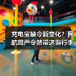 充电宝禁令新变化?民航局严令禁带这些行李登机(图2) 充电宝禁令新变化?民航局严令禁带这些行李登机(图2)