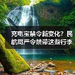 充电宝禁令新变化?民航局严令禁带这些行李登机(图1) 充电宝禁令新变化?民航局严令禁带这些行李登机(图1)