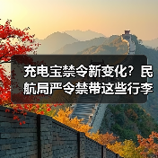 充电宝禁令新变化?民航局严令禁带这些行李登机(图4) 充电宝禁令新变化?民航局严令禁带这些行李登机(图4)