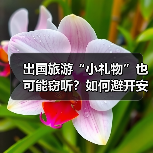 出国旅游“小礼物”也可能窃听?如何避开安全陷阱?(图2) 出国旅游“小礼物”也可能窃听?如何避开安全陷阱?(图2)