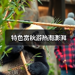 特色赏秋游热潮澎湃(图4) 特色赏秋游热潮澎湃(图4)