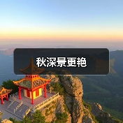 秋深景更艳（图4）