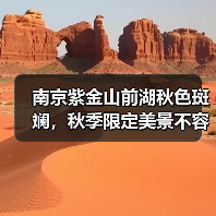 南京紫金山前湖秋色斑斓,秋季限定美景不容错过!(图1) 南京紫金山前湖秋色斑斓,秋季限定美景不容错过!(图1)