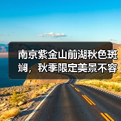南京紫金山前湖秋色斑斓,秋季限定美景不容错过!(图2) 南京紫金山前湖秋色斑斓,秋季限定美景不容错过!(图2)