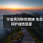 宁夏黄河秋色斑斓 生态保护成效显著(图1) 宁夏黄河秋色斑斓 生态保护成效显著(图1)