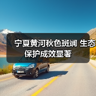 宁夏黄河秋色斑斓 生态保护成效显著(图4) 宁夏黄河秋色斑斓 生态保护成效显著(图4)