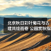 北京秋日彩叶菊花与古建共绘画卷 公园赏秋指南（图2）