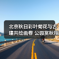 北京秋日彩叶菊花与古建共绘画卷 公园赏秋指南（图4）