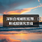 深秋白鹭翩跹起舞,江畔成靓丽风景线(图4) 深秋白鹭翩跹起舞,江畔成靓丽风景线(图4)
