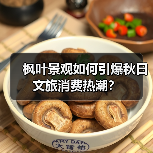 枫叶景观如何引爆秋日文旅消费热潮?(图4) 枫叶景观如何引爆秋日文旅消费热潮?(图4)