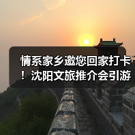 情系家乡邀您回家打卡！沈阳文旅推介会引游子共鸣（图3）