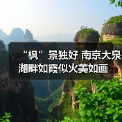 “枫”景独好 南京大泉湖畔如霞似火美如画（图1）