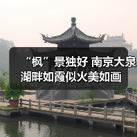 “枫”景独好 南京大泉湖畔如霞似火美如画（图2）