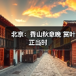 北京:香山秋意晚 赏叶正当时(图1) 北京:香山秋意晚 赏叶正当时(图1)