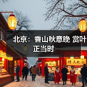 北京:香山秋意晚 赏叶正当时(图2) 北京:香山秋意晚 赏叶正当时(图2)