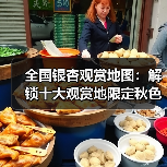 全国银杏观赏地图:解锁十大观赏地限定秋色(图2) 全国银杏观赏地图:解锁十大观赏地限定秋色(图2)