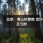 北京:香山秋意晚 赏叶正当时(图3) 北京:香山秋意晚 赏叶正当时(图3)