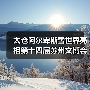 太仓阿尔卑斯雪世界亮相第十四届苏州文博会(图3) 太仓阿尔卑斯雪世界亮相第十四届苏州文博会(图3)