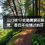 三门峡12处绝美赏花秘境,春日不容错过的芬芳之旅(图1) 三门峡12处绝美赏花秘境,春日不容错过的芬芳之旅(图1)