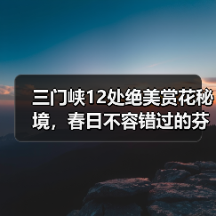 三门峡12处绝美赏花秘境,春日不容错过的芬芳之旅(图4) 三门峡12处绝美赏花秘境,春日不容错过的芬芳之旅(图4)