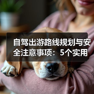自驾出游路线规划与安全注意事项:5个实用方法解决难题(图3) 自驾出游路线规划与安全注意事项:5个实用方法解决难题(图3)